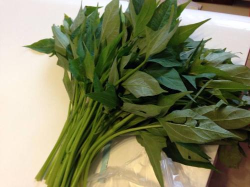 苹果红枣维生素c,红枣含维c多少