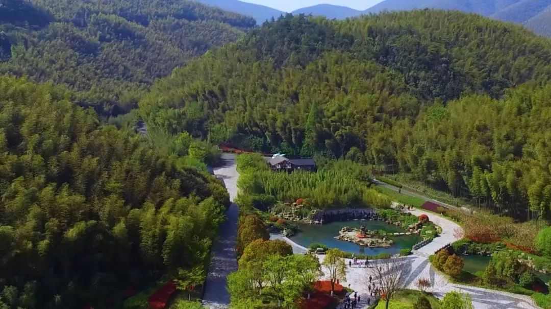 关于春天的颜色,关于春天的景色是什么