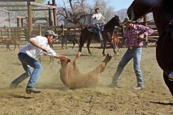 世界上最神秘的大学——深泉学院