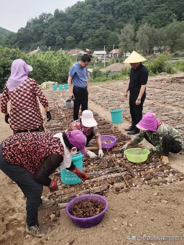 抚顺新宾红庙子,抚顺新宾红庙子四道沟村