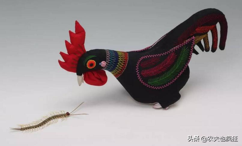 为什么公鸡吃了蜈蚣就会发狂,为什么公鸡吃了蜈蚣会发疯