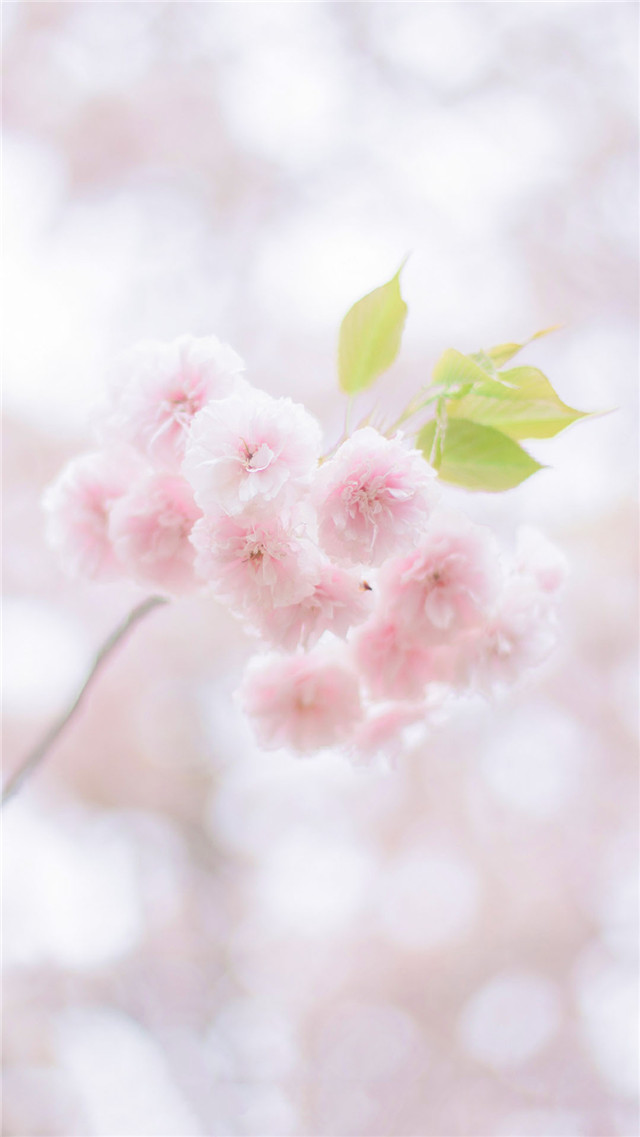 高清壁纸8k风景壁纸,风景壁纸超清手机壁纸