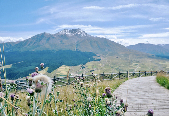 去一趟大西北的旅行,大西北旅行青藏高原