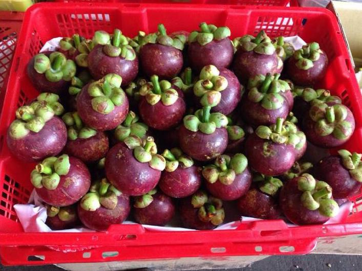 山竹怎么挑选公母,山竹怎么挑选果核少的