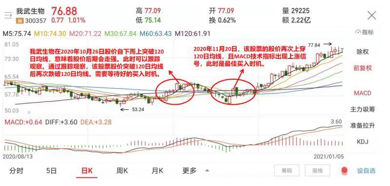 明天tcl股票走势预判,金科股票走势预判