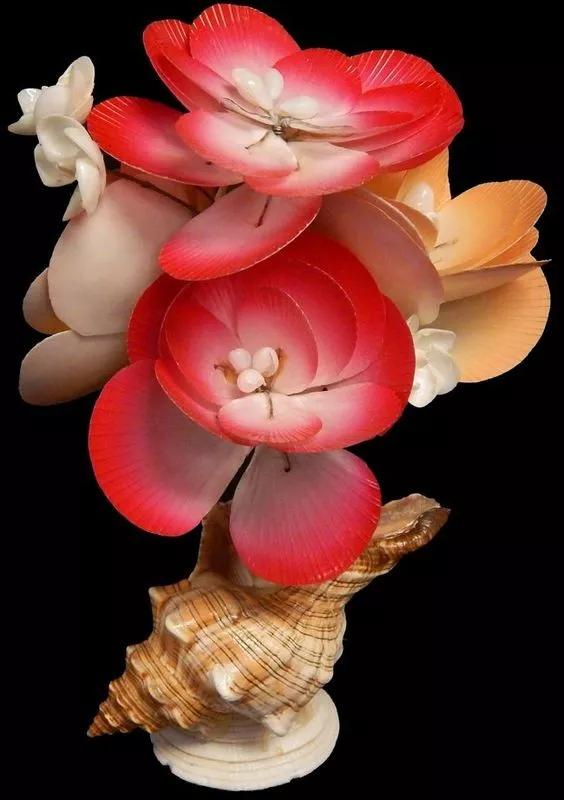 海边捡的贝壳可以做什么手工,贝壳创意手工种花