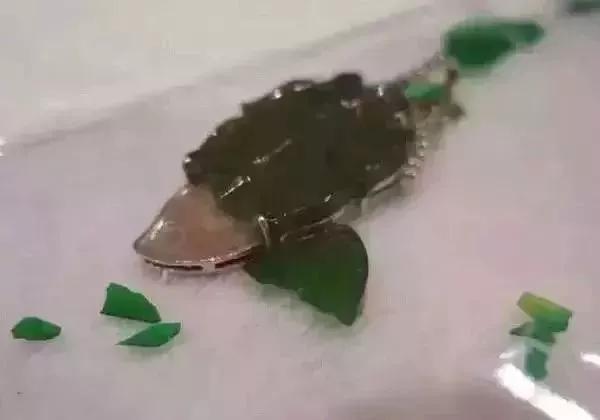 这6种玉不能戴,这5种玉不值钱