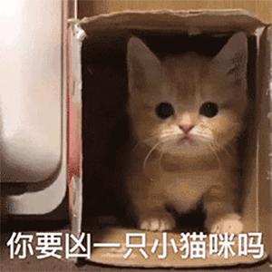 情侣斗图表情包女生专用,斗图表情包大全冬天冷