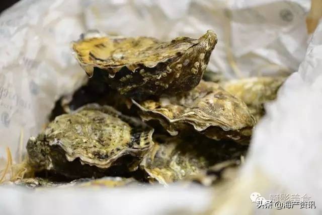 世界十大顶级海鲜品种,全球顶级海鲜食材大赏