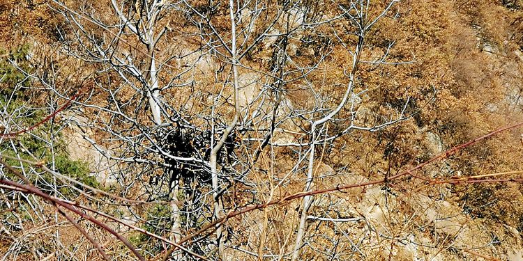 20210117独行太兴山，误入佛国秘境花石湾