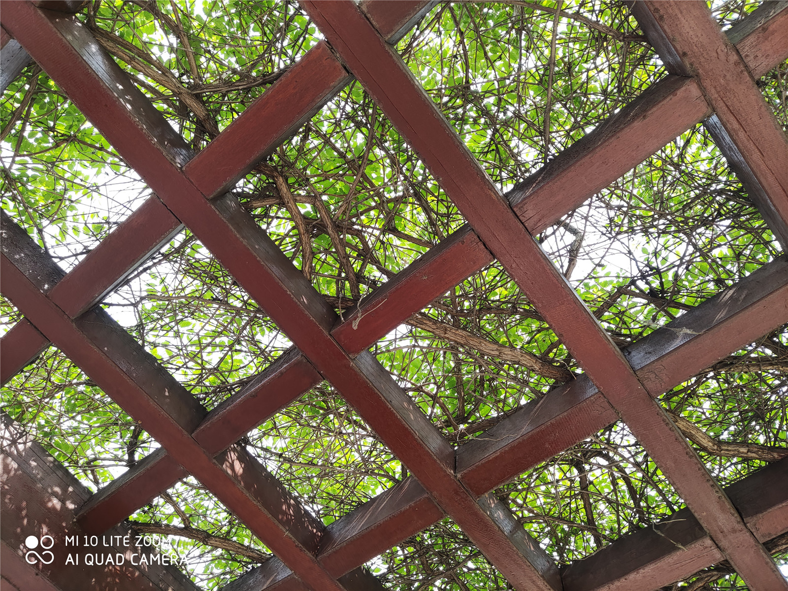 小米10青春版209元,小米10青春版报价2099元