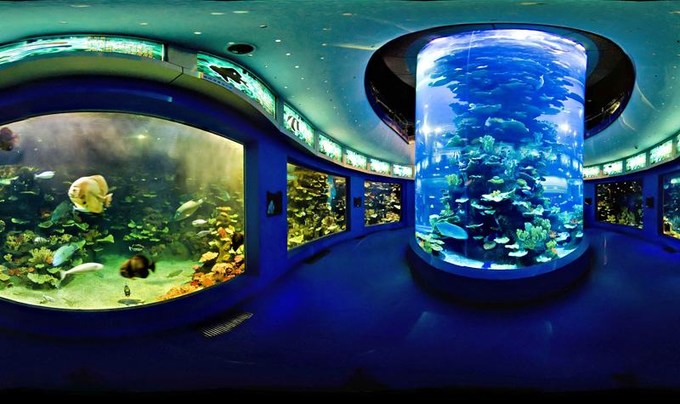 青岛海边景点路线推荐,青岛最美沿海公路怎么自驾