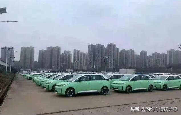 滴滴d1司机招募条件,滴滴新手期规定