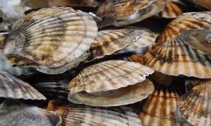 秦皇岛海鲜码头4月开海,秦皇岛开海海鲜