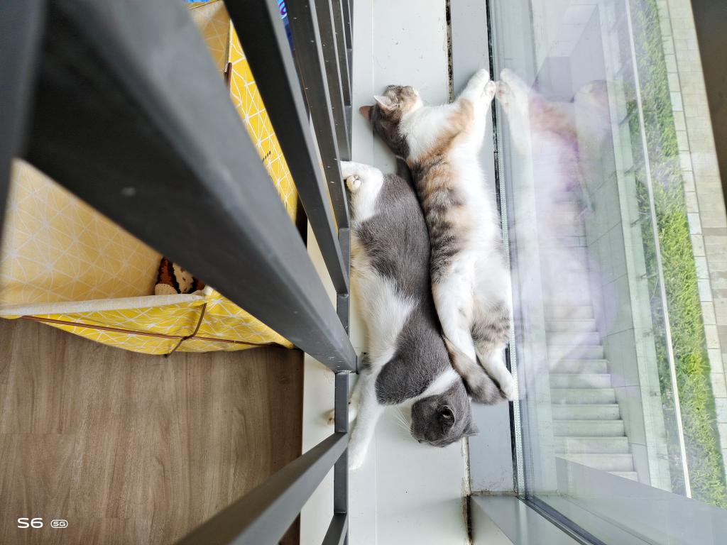 小扎测评|vivoS6:拍照时握在手里的小确幸