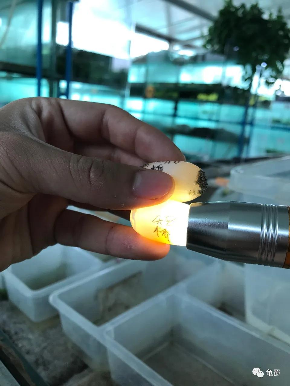 minimonster杭州,minimonster绘本