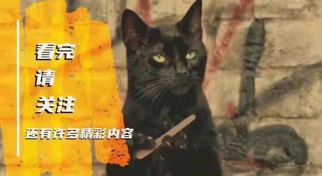 跑得最快的螃蟹怎么养,抓跑得最快的螃蟹