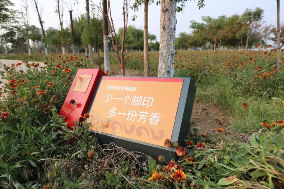 邯郸有什么网红地方,邯郸10大免费公园