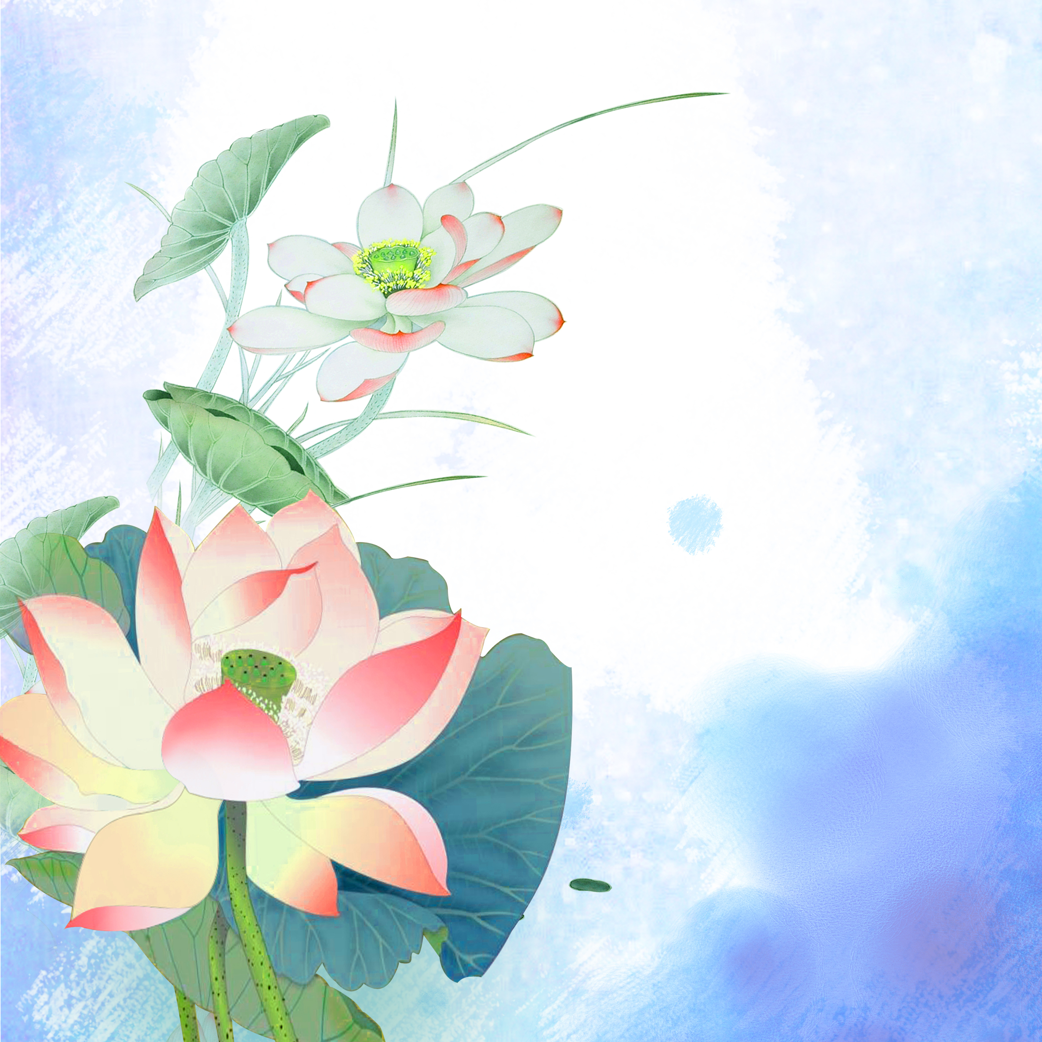 经典婚后文排名 (25本好看的婚后文推荐)