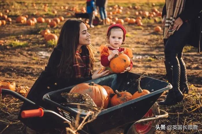 南瓜大作战任务,南瓜大作战活动攻略