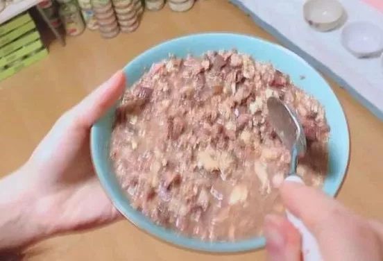 小佩闷死猫后续,小佩猫窝现在还有吗