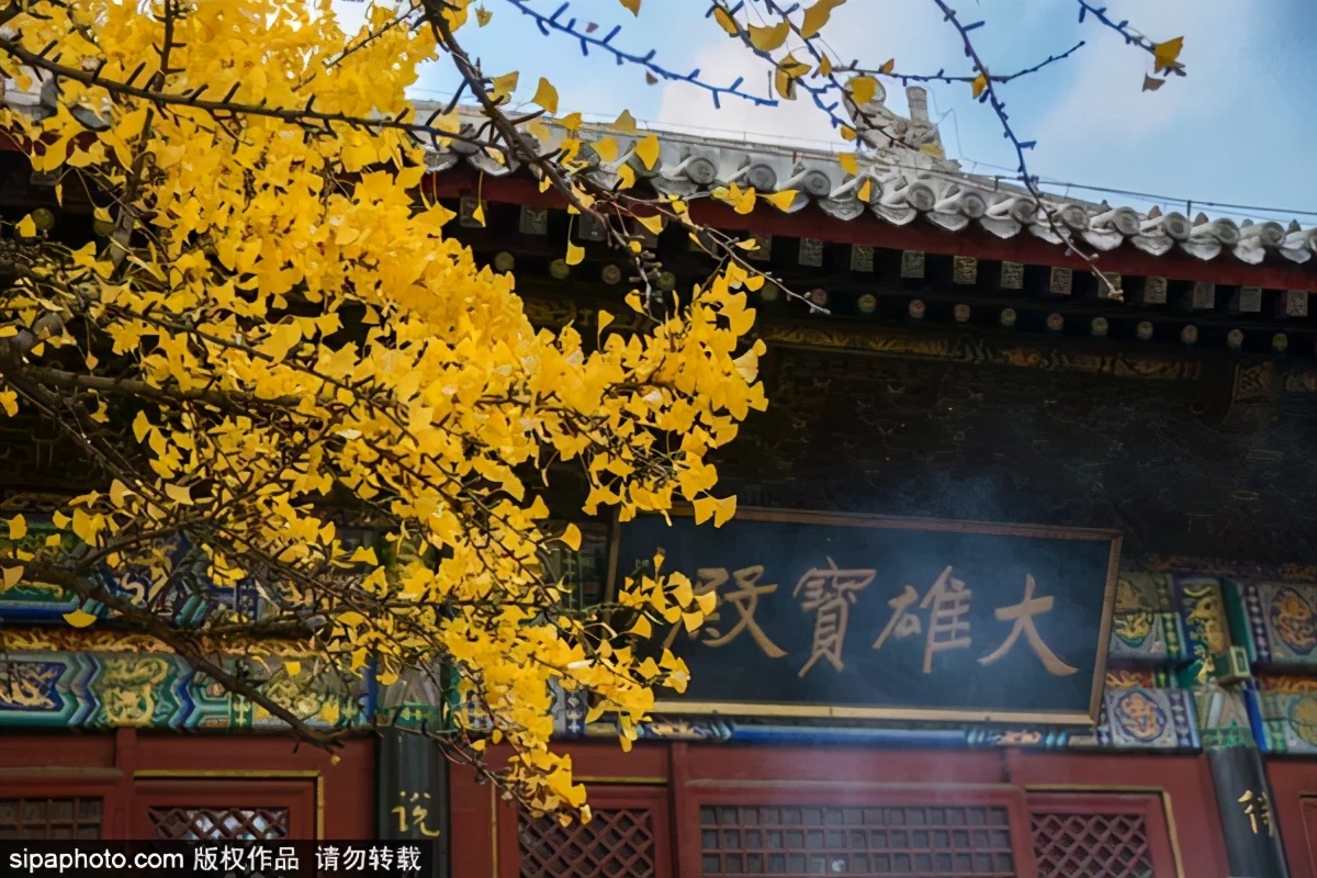 打卡北京十大古迹,打卡北京100个景点