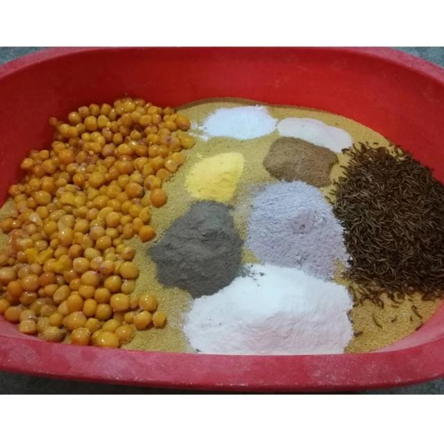 如何自己制作鹦鹉吃的蛋小米,在家如何给鹦鹉做蛋小米