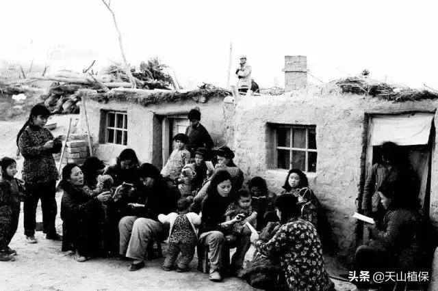 伟大的新疆,伟大的阿勒泰