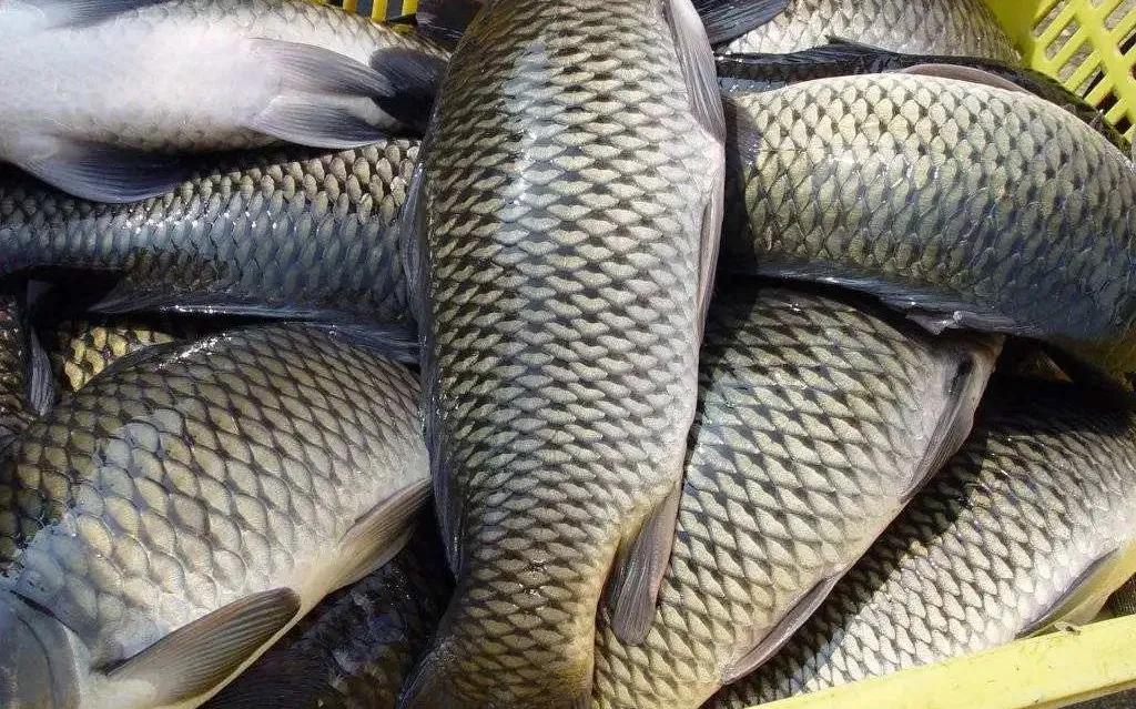 武汉人团购,武汉人年货礼品