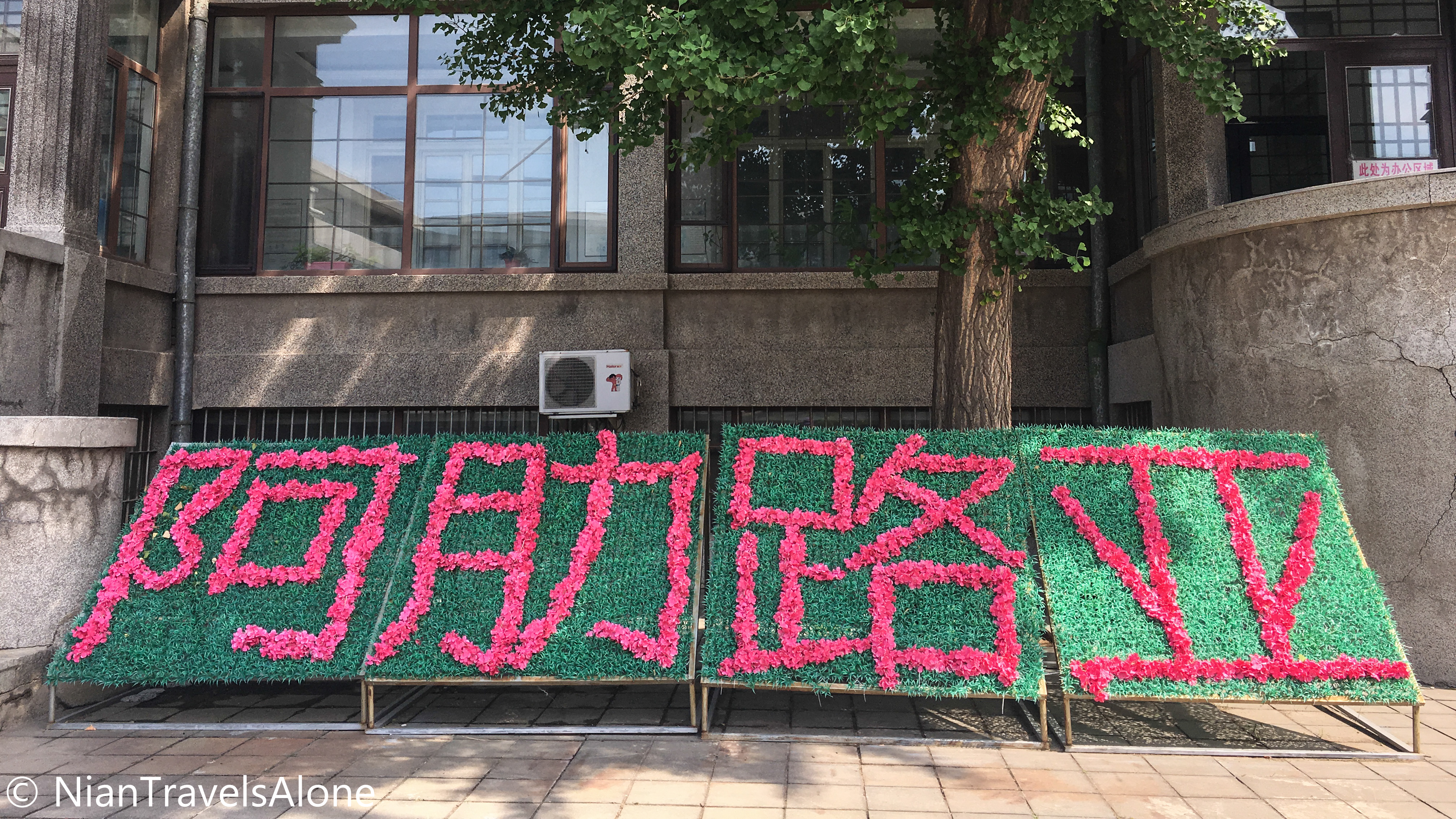 沈阳单人一日游最佳攻略,沈阳五日自由行攻略