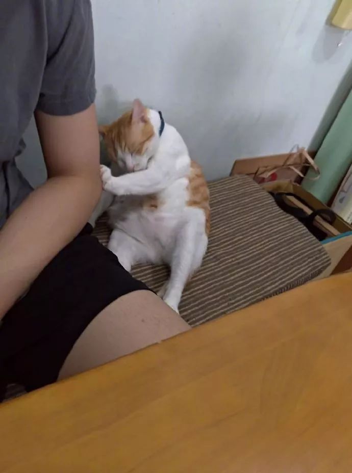 打马赛克的段子,关于马赛克的经典段子