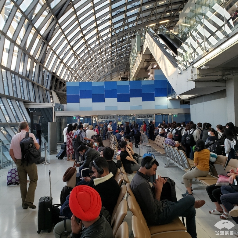 打卡泰航波音747头等舱，贴心空姐疯狂投喂，大龙虾鱼子酱吃到撑