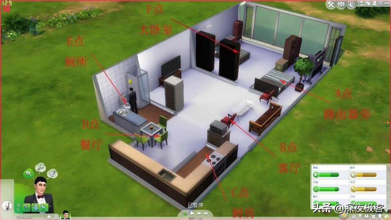 分享我多年来的养猫经验,分享我的改装心得