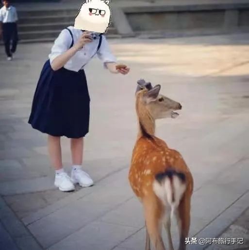 日系学生制服叫什么,日本学生制服怎么穿的