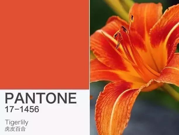 pantone潘通色号,pantone潘通发布2016年度流行色