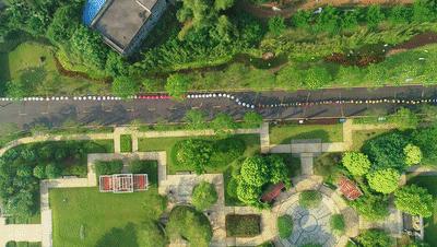 惊艳全国、破世界纪录!455名旗袍佳丽云集湛江遂溪玥珑湖