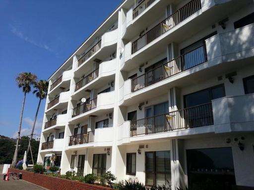 英国空姐事件,英国空姐在日本失踪案