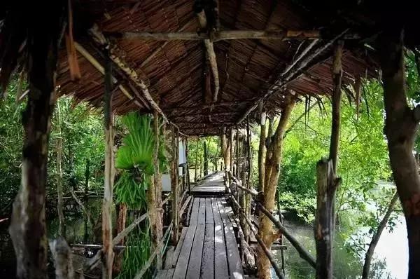 泰国甲米7天自由行攻略,5天4晚玩转泰国