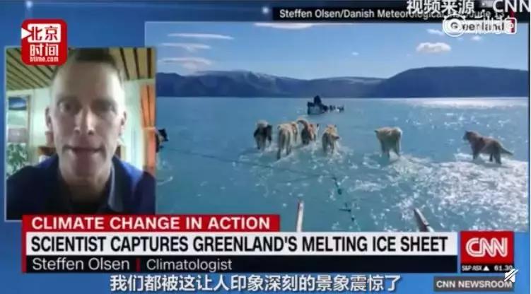 1116只鲨鱼被塑料缠住，不及余文乐发布一则视频引发的“痛感”