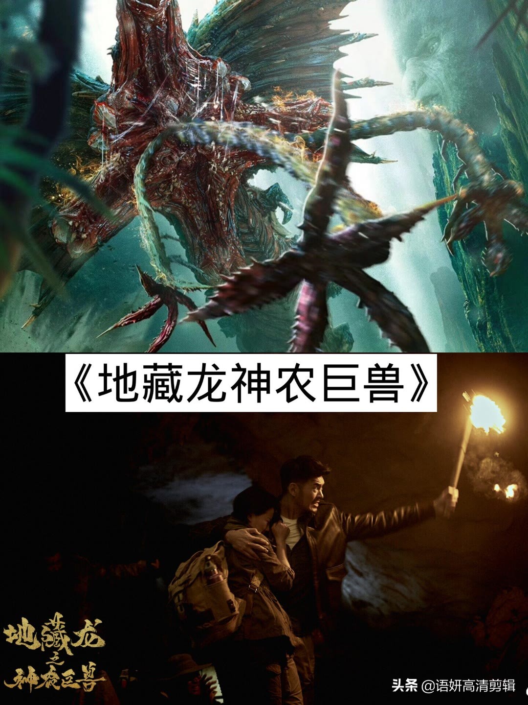 12部惊险刺激的丛林逃杀电影,初中学生必看12部励志电影推荐