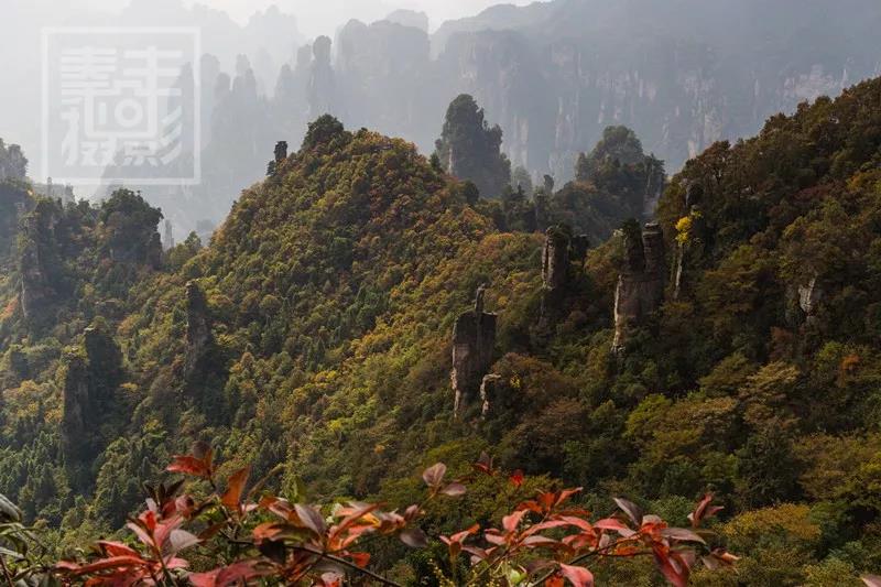 像素到底跟什么有关系,什么是像素像素有什么用