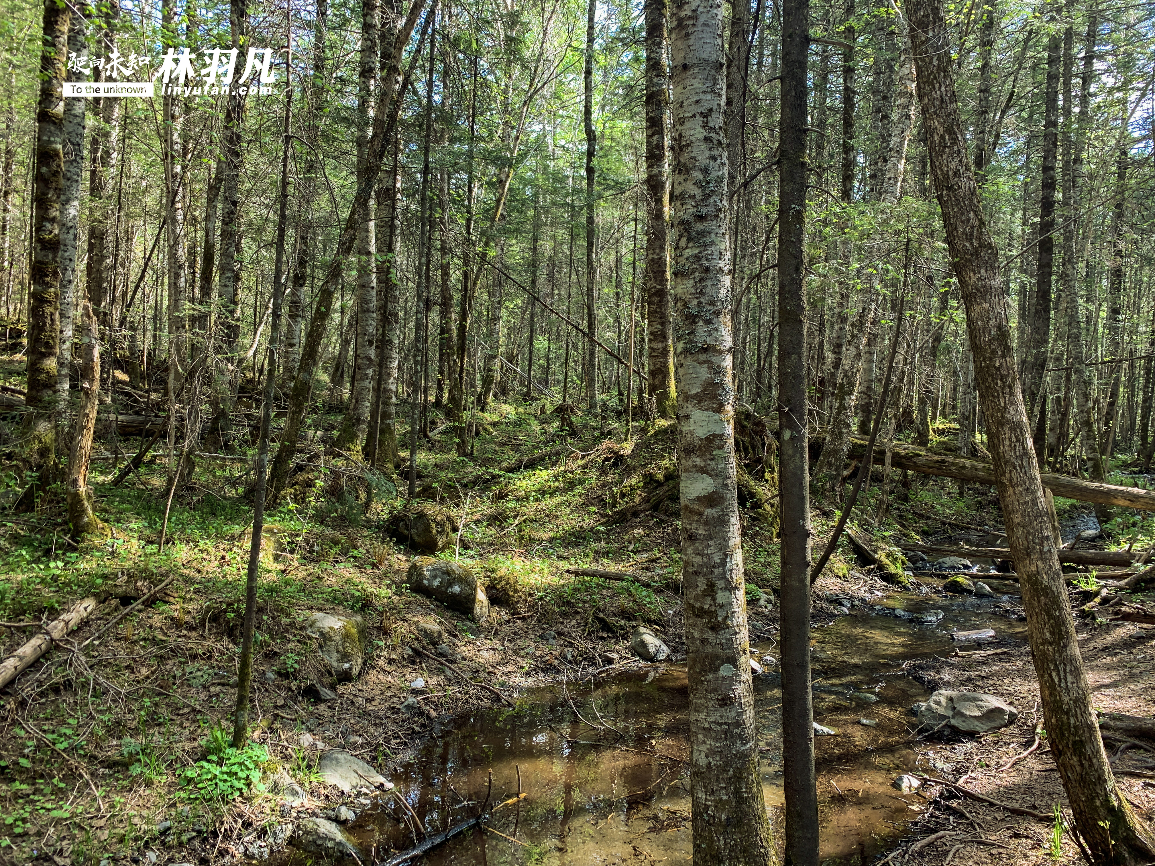 自驾游长白山天池,自驾去长白山天池怎么买门票