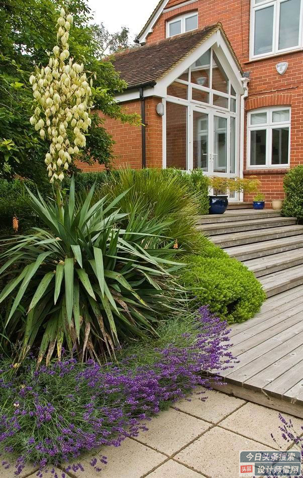 小院草坪如何养护,庭院绿化最佳养护方法