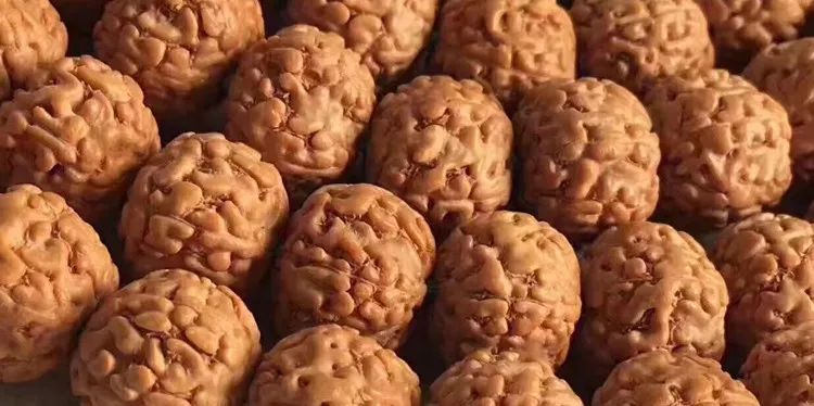 小金刚菩提子各种纹路图片,小金刚菩提的纹路有哪些