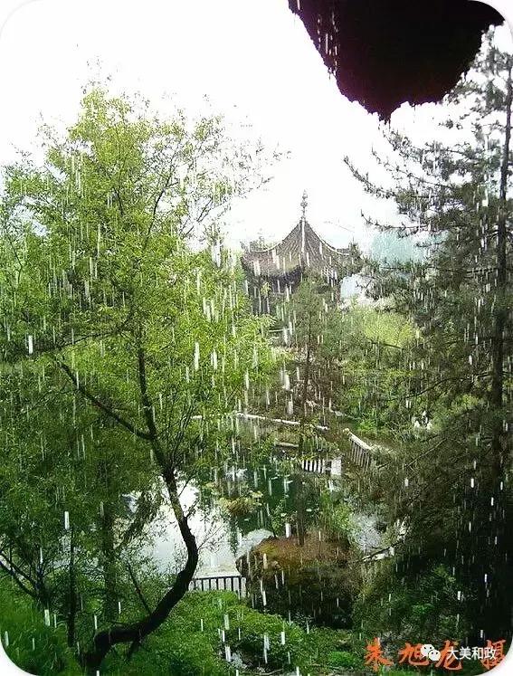 绿色和政春深夏浅风光好山美花浓待君来