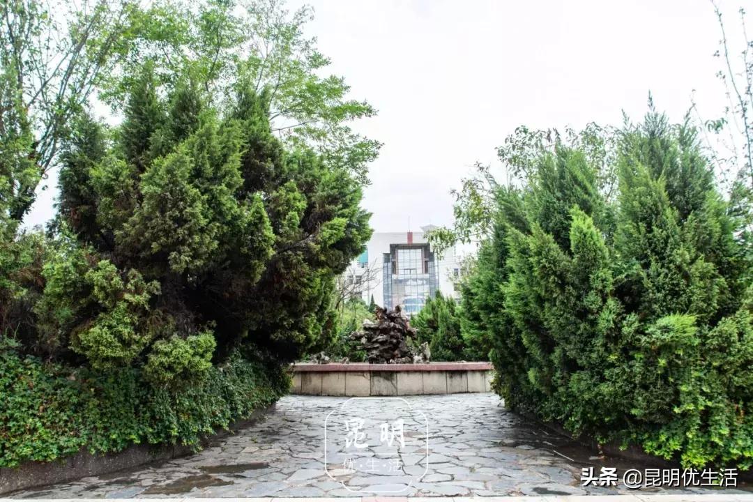 我眼中的云南财经大学,母校云南财经大学