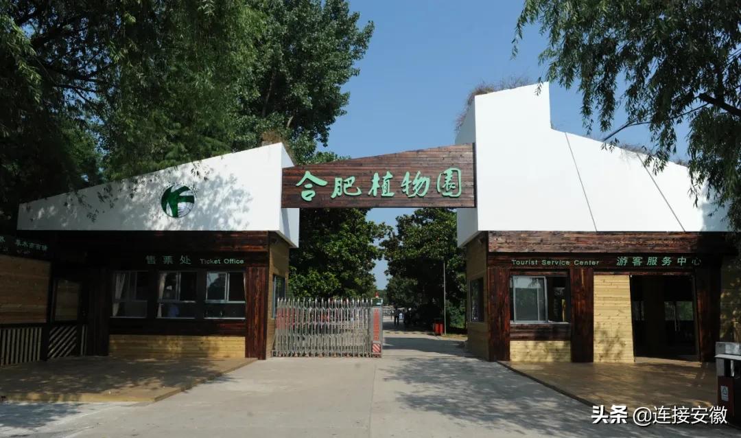 安徽合肥免费旅游攻略,合肥春节免费游怎么预约