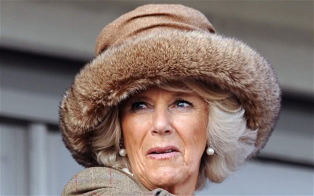 93岁英女王宣布拒绝天然皮草，卡米拉凯特都上过黑榜，梅根最纯净