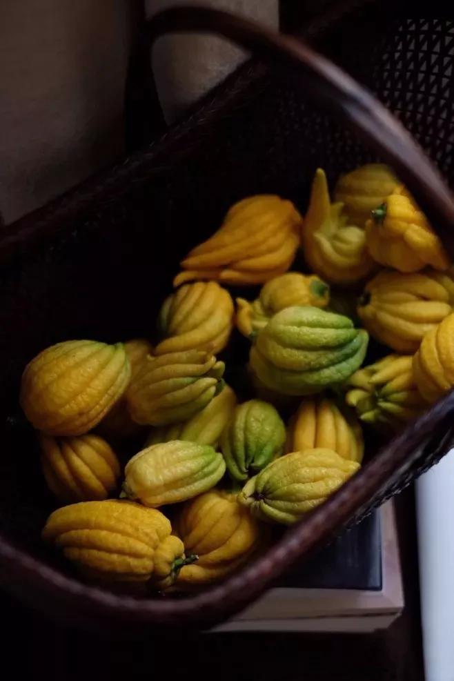 佛手只长叶不开花,佛手只有一种果子