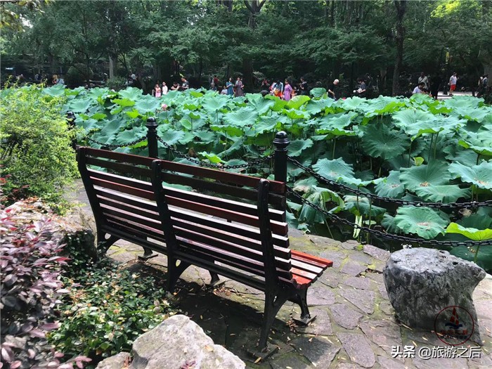 鲁迅公园为什么叫鲁迅公园,沈阳鲁迅公园为什么叫鲁迅公园